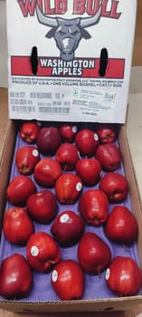 Apple RD Washington 100 Count 20 Kg  Wild Bull