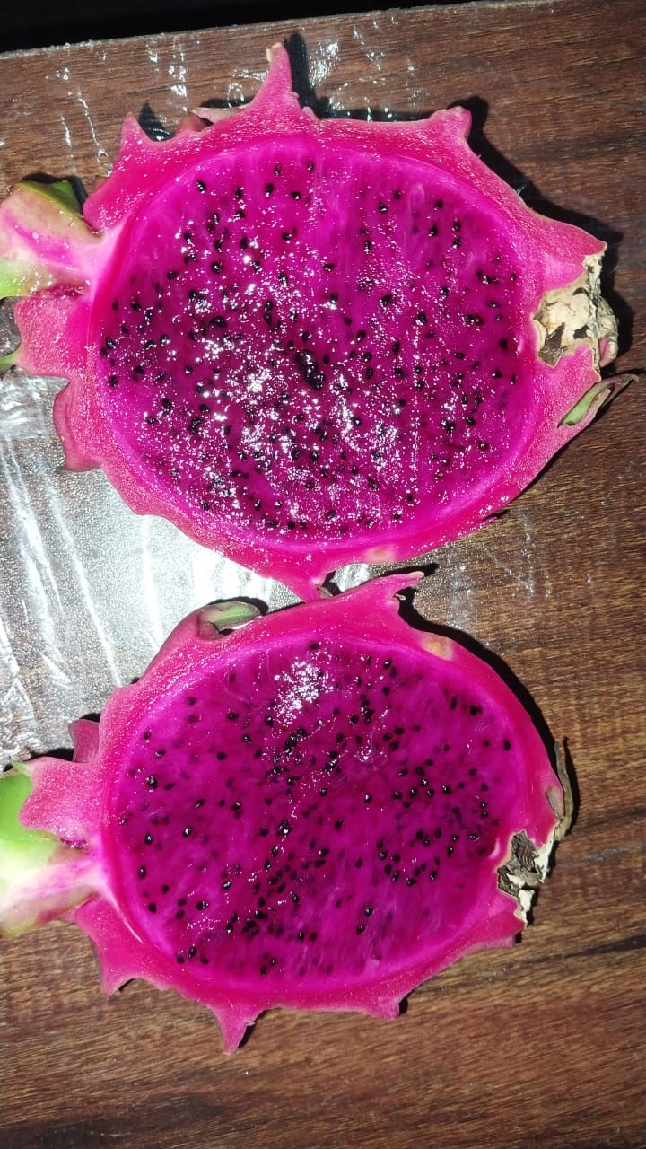 Premium Dragon Fruit Red Flesh 10 Kg (200Gm+)
