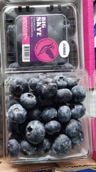 Blueberry Peru Pack of 12, 125 gm per pack 1.5,Kg 18 mm size Big Sky