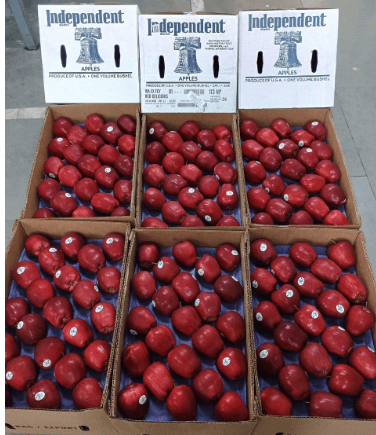 Apple RD Washington 20 Kg 100 Count Independent