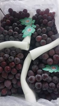 ग्रपेस रेड ग्लोब चाइना 6.5 KG ग्रपेस रेड ग्लोब चाइना 6.5 KG