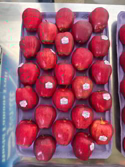 Apple RD Washington 18 Kg 100 Count Stemilt