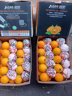 Orange Valencia  15 Kg 80 Count Agro Best