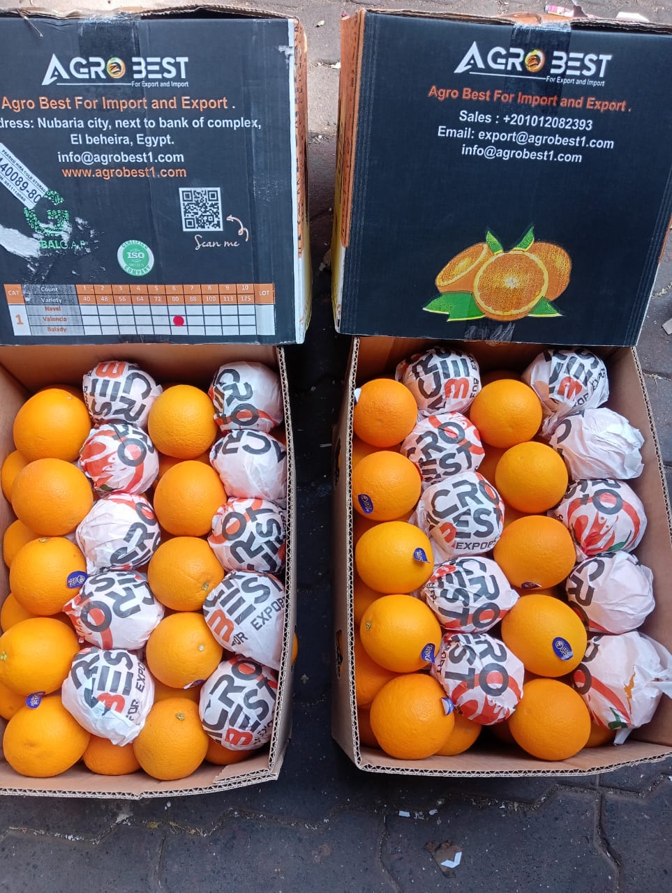 Orange Valencia  15 Kg 80 Count Agro Best