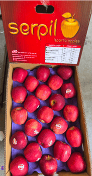 Apple RD Turkey 18 Kg 90 Count Serpil