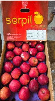 Apple RD Turkey 18 Kg 100 Count Serpil