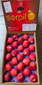 Apple RD Turkey 18 Kg 135 Count Serpil