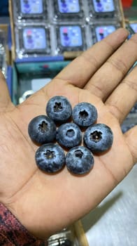 ब्लूबेरी पेरू पॅक 125gm पॅक 16mm+