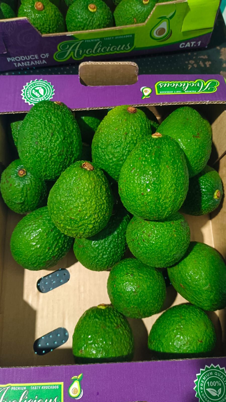 Raw Avacado Tanzania 14 Count 4 KG Avolicious