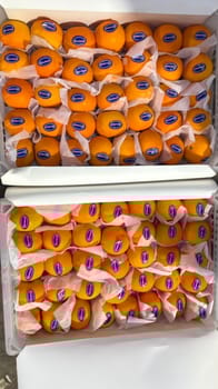 Orange Mandrin Wogan 9 kg 60 Count Sunfarmer
