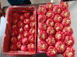 ऐप्पल फूजी चाइना 44 दाना