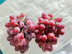 Grapes Red Globe Chile 8 kg Carsal Wooden Crate