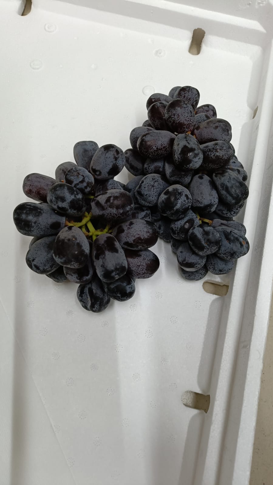 Premium Black Grapes 8 Kg Relish