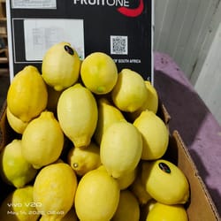 Lemon South africa 18 KG Fruitone