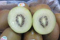 Kiwi Sungold Size 36 Count 59 5.6 Kg ( Loose )