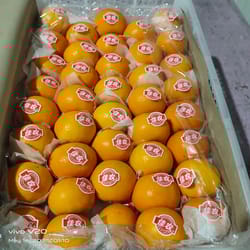 Orange Mandarin China 8.5 Kg 60 Count
