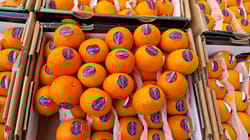 Orange Mandarin China 9 Kg 60 Count Sunrise