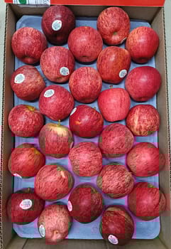Apple Royal Gala New Zealand RD 18 Kg 120 Count Mr Apple