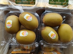 Kiwi Gold 3 Piece Per Punnet Italy 13 Punnet Per Box, 39 Pieces Zespri