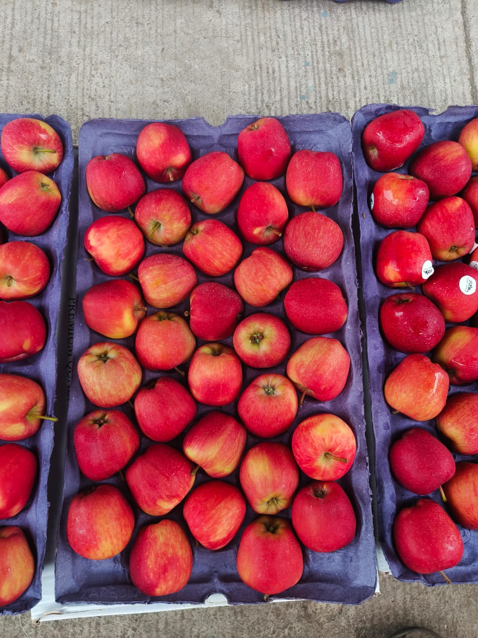 Apple Gala USA 18 Kg 125 Count Stemilt