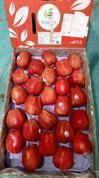 Apple RD Chile 18 kg 110 Count Frusan