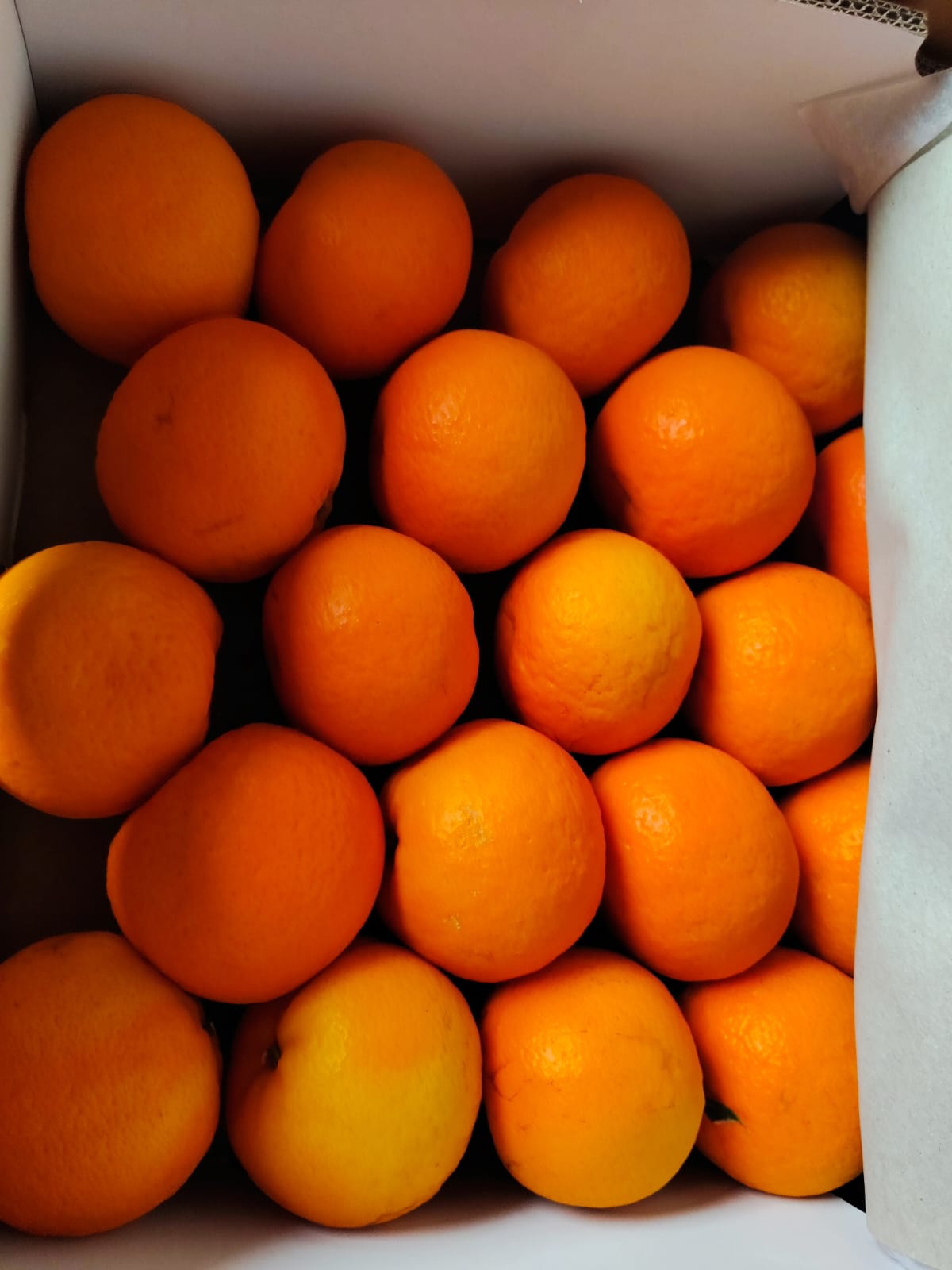 Orange Mandarin China 9 Kg 65 Count Sunfarmer