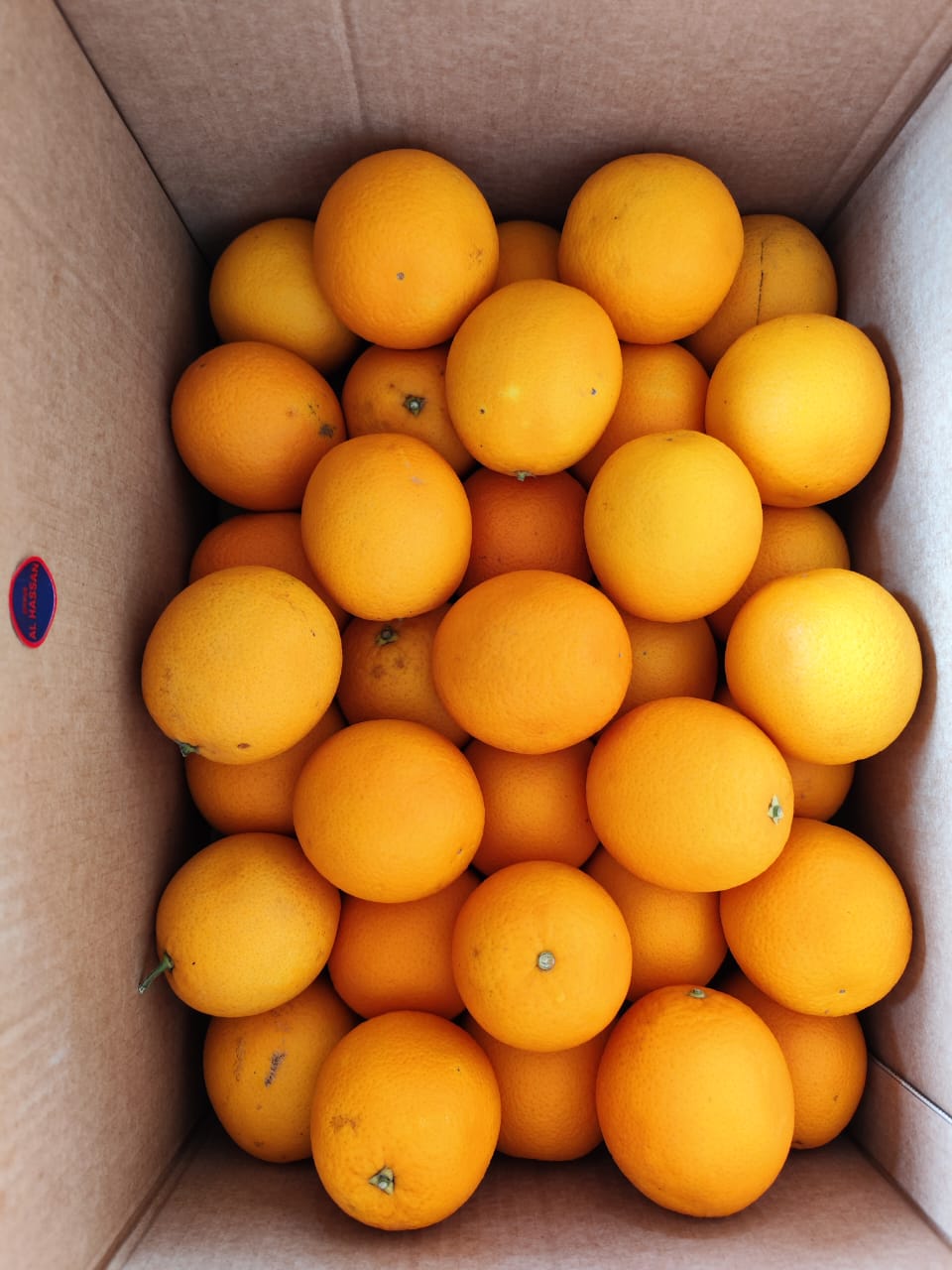 Orange Valencia  15 Kg 80 Count Hassan