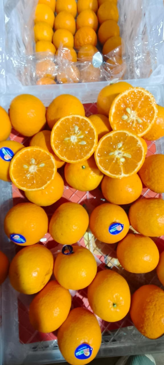 Orange Mandarin China 8.5 Kg 60 Count Premium citrus