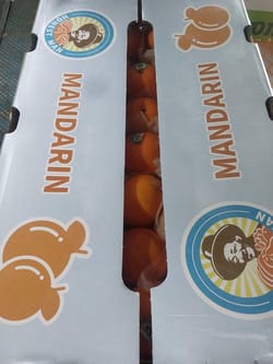 Orange Mandarin Wogan China 9 Kg 55 Count Honest Man (Seedless)