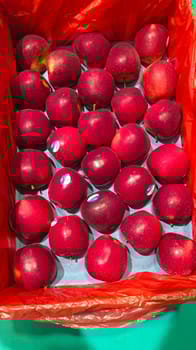 Apple Queen New Zealand 18 KG 120 Count Kea