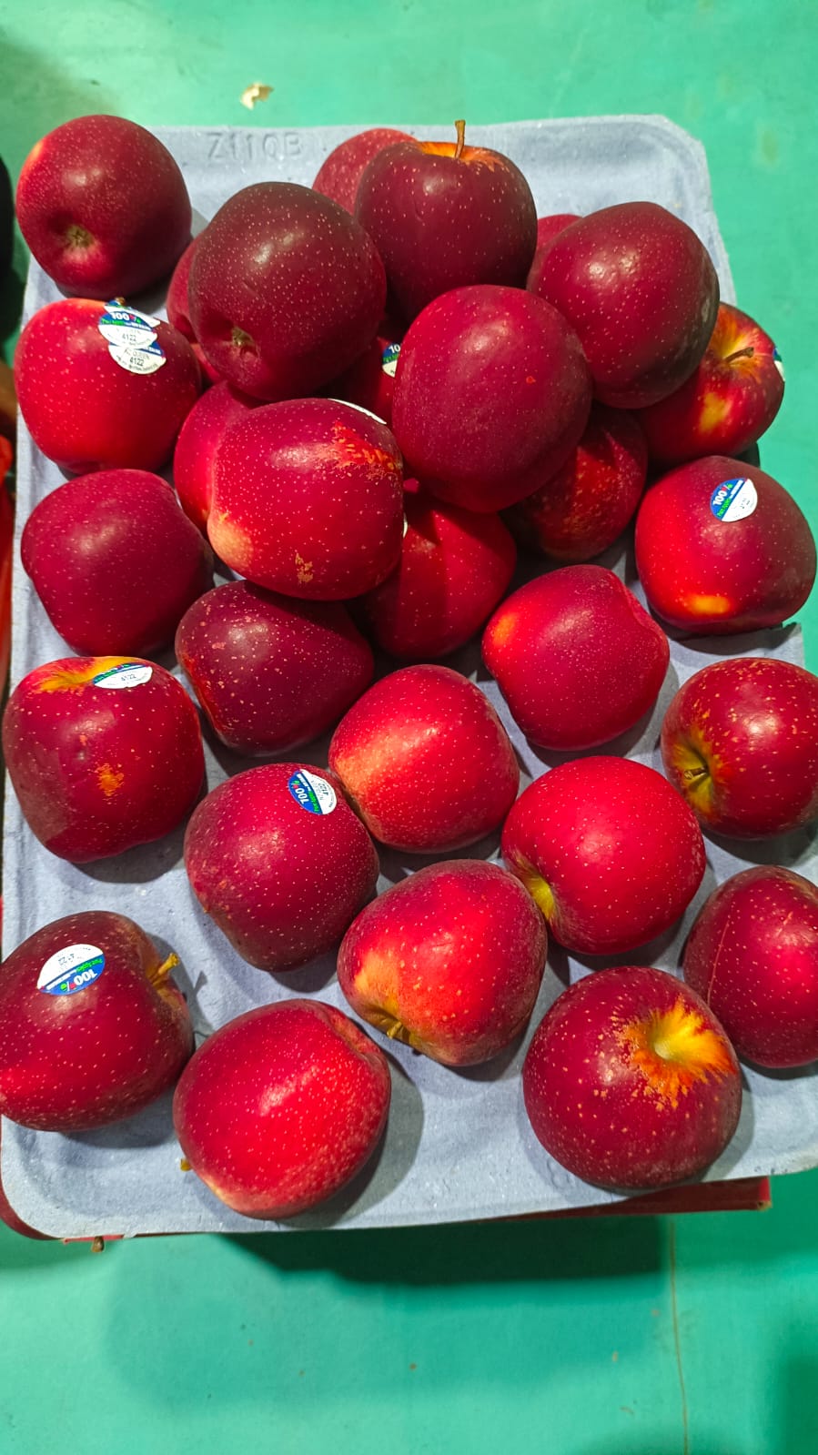 Apple Queen New Zealand 110 Count 18 Kg Kea