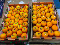 ऑरेंज मैंडरिन वैगन 9 kg 65 काउंट
