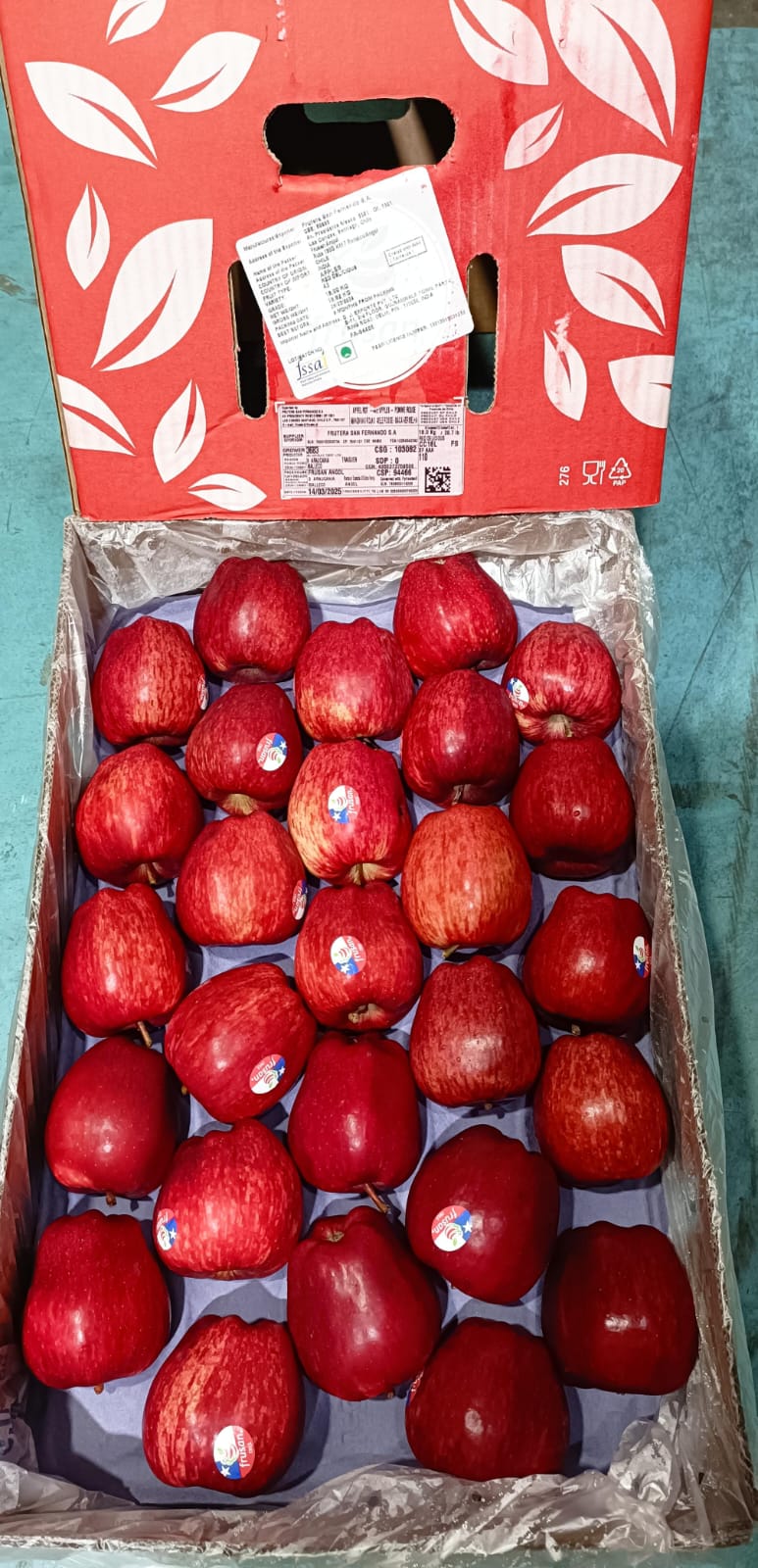 Apple RD Chile 18 kg 135 Count Frusan