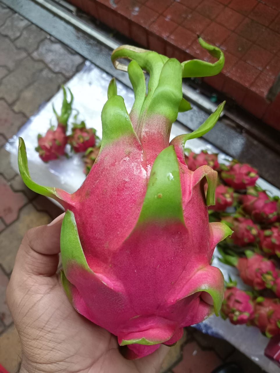 ड्रॅगन व्हाइट व्हिएतनाम 9 किलो 22 काउंट