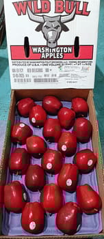 Apple RD Washington 100 Count 20 Kg  Wild Bull