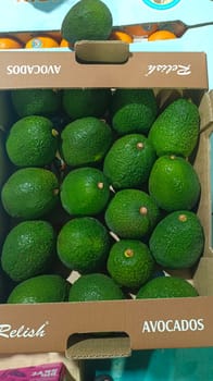 Avacado Tanzania 14 Count 4 KG FRESH TANZANIA Relish