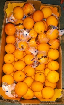 Orange Mandrin South Africa 10 kg 3 Size outspan gems