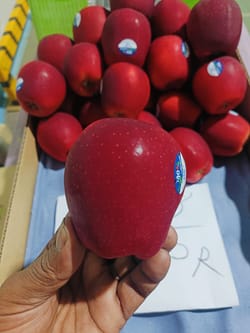 Apple Queen New Zealand  18 Kg 110 Count CAJ