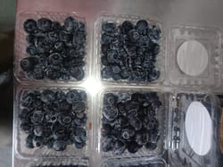 Blueberry Peru Pack of 125gm 14 mm+