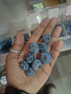 Blueberry Peru Pack of 125gm 16 mm+