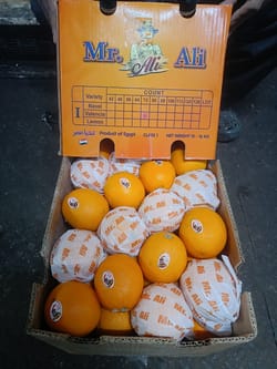 Orange Valencia  15 Kg 72 Count Egypt Mr.Ali