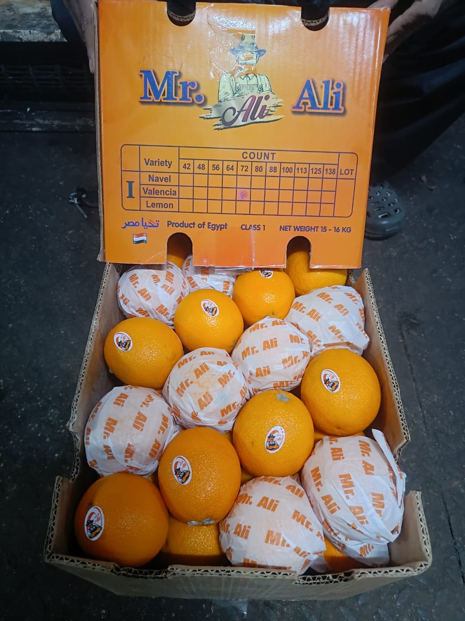 Orange Valencia  15 Kg 72 Count Egypt Mr.Ali