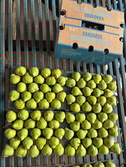 Packum pear  12.5 Kg 80 Kangaroo