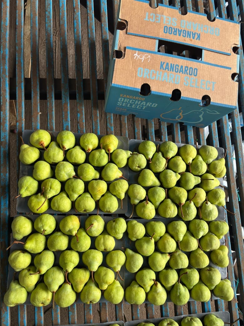 Packum pear  12.5 Kg 80 Kangaroo