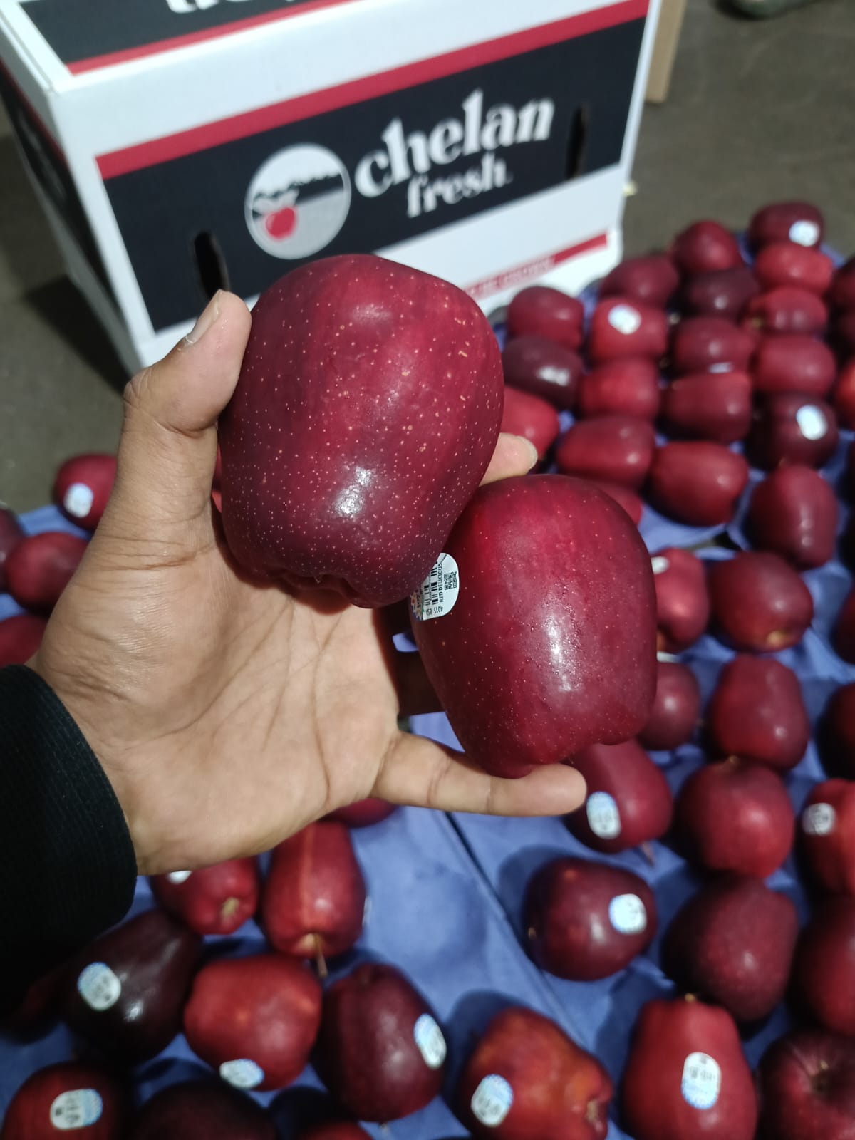 Apple RD Washington 20 kg 113 Count Chelan