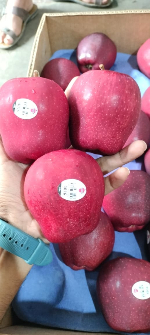 Apple RD Washington 20 kg 100 Count Chelan
