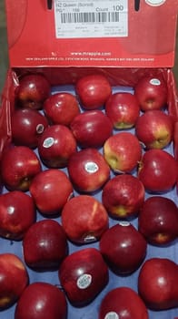 Apple Queen New Zealand 18 KG 110 Count Mr Apple