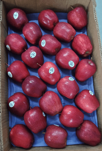 Apple RD Washington 10 Kg 44 Count Independent