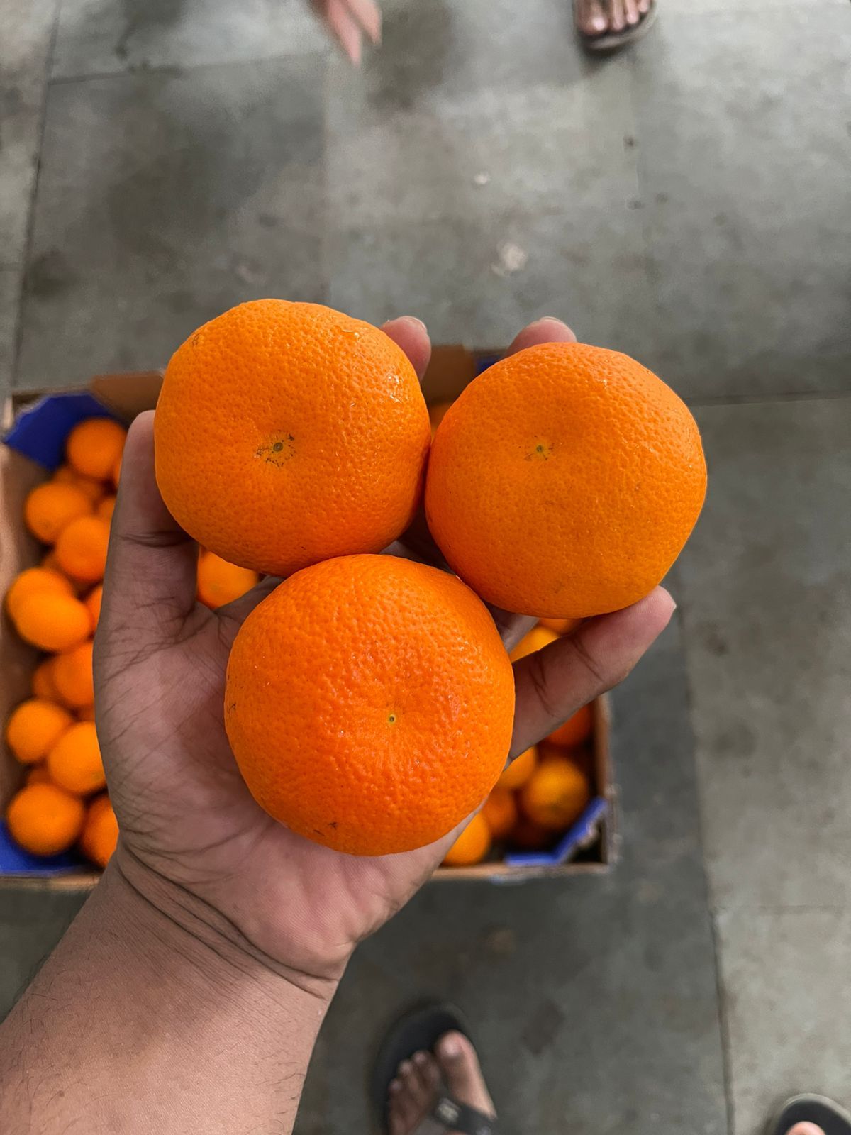 Orange Mandrin South Africa 10 kg 1 Size Sweet