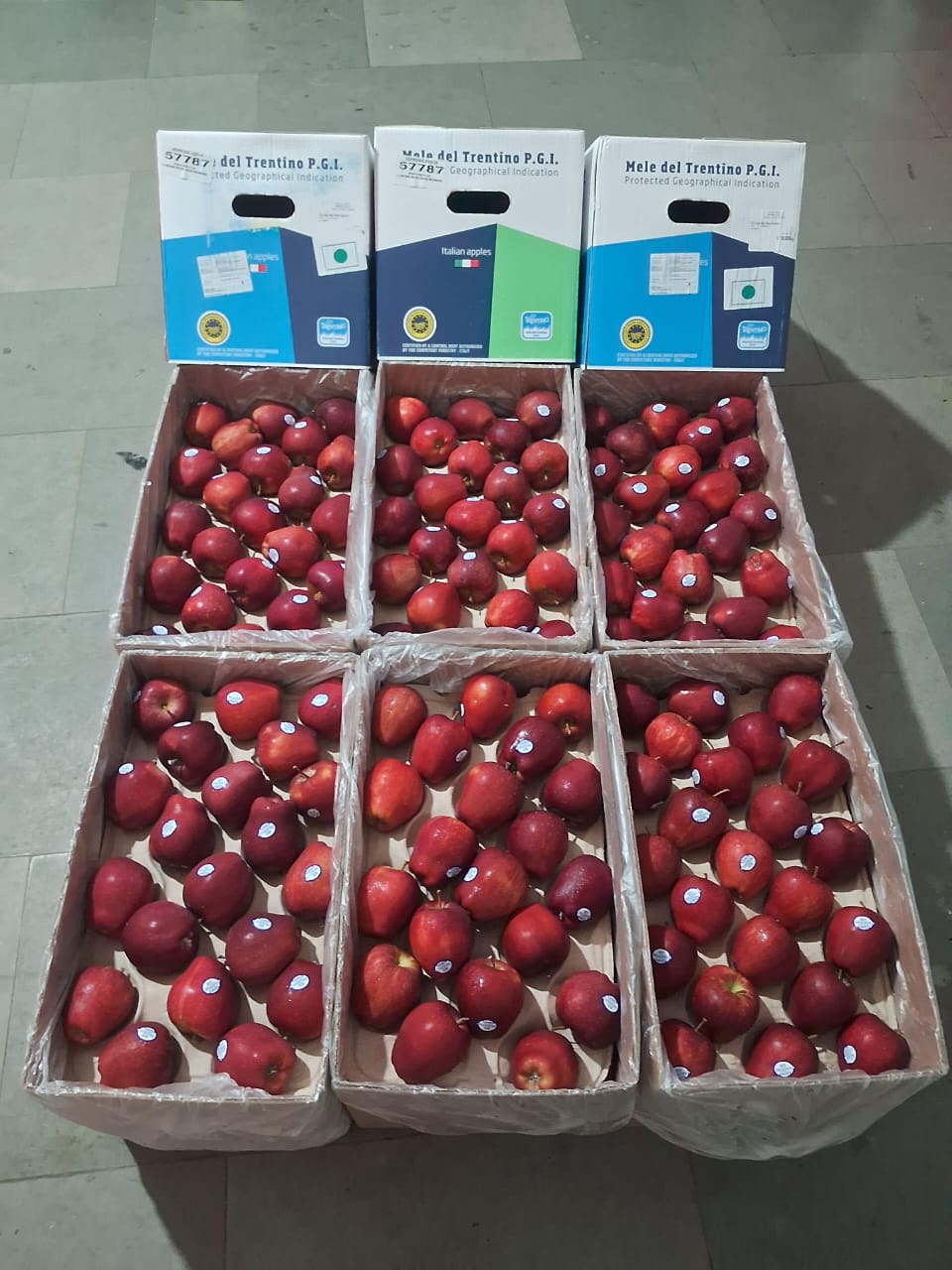 Apple RD Italy 18 Kg 113 Count Mele Del